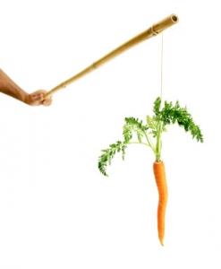 carrot-and-stick